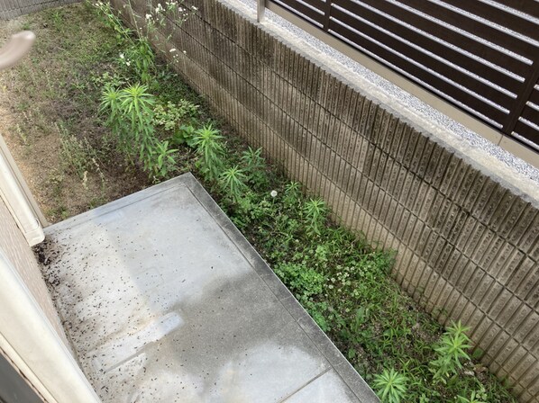 ヴィラーム アウリンコの物件内観写真